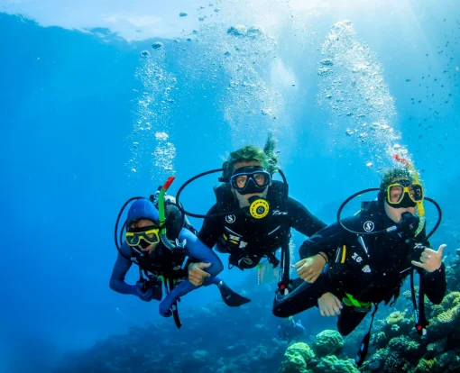 Snorkeling and Scuba Diving with Yacht Tours