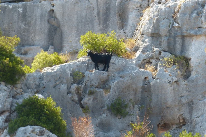 Olimpos - Kaş